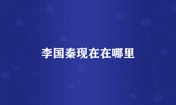 李国秦现在在哪里