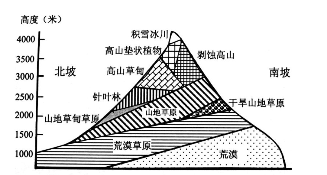 基带是什么？