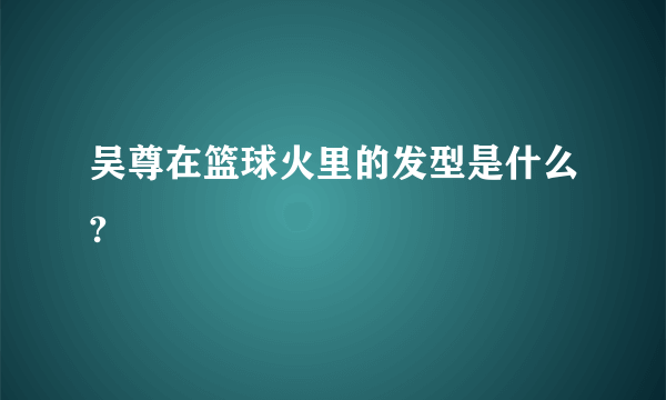 吴尊在篮球火里的发型是什么?