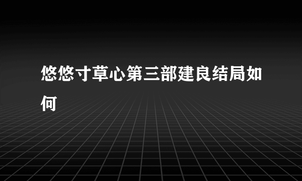 悠悠寸草心第三部建良结局如何