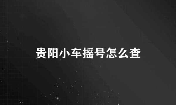 贵阳小车摇号怎么查