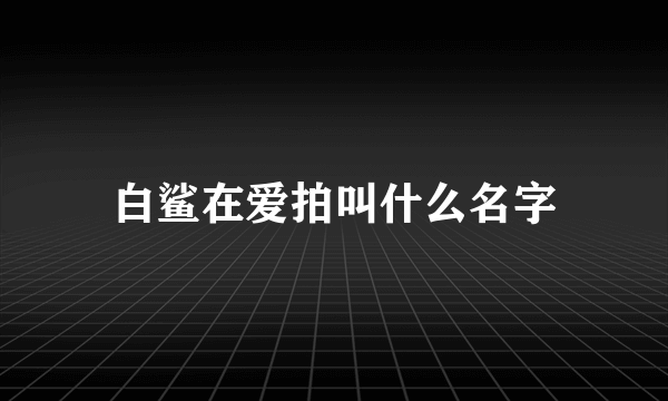 白鲨在爱拍叫什么名字