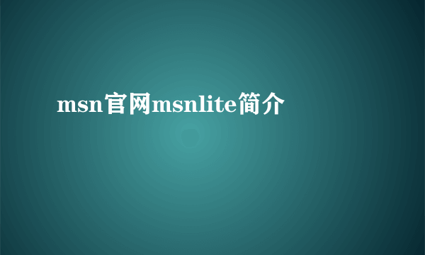 msn官网msnlite简介