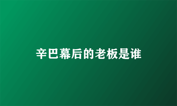 辛巴幕后的老板是谁