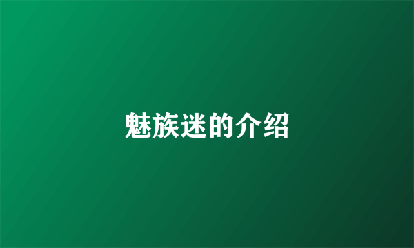 魅族迷的介绍