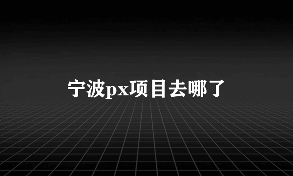 宁波px项目去哪了