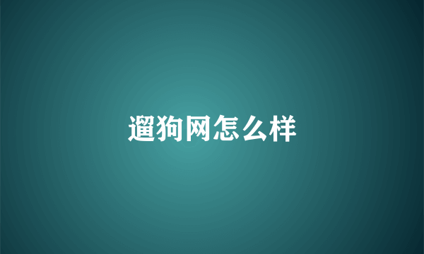 遛狗网怎么样