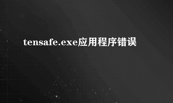 tensafe.exe应用程序错误