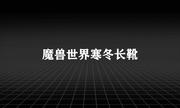 魔兽世界寒冬长靴