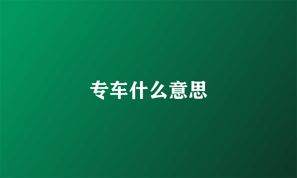 专车什么意思