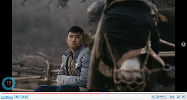 文章演的一部电影还是电视剧我忘了，有个镜头是骂一头驴骂了好久，完了还要杀那头驴的，叫啥名字来着？