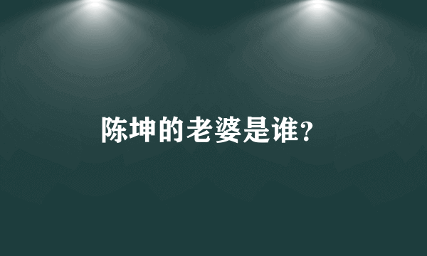 陈坤的老婆是谁？