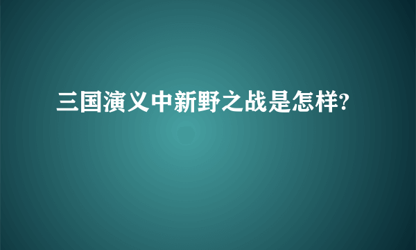 三国演义中新野之战是怎样?