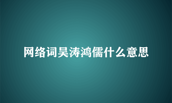 网络词吴涛鸿儒什么意思