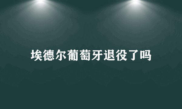 埃德尔葡萄牙退役了吗