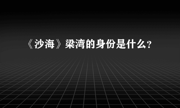 《沙海》梁湾的身份是什么？