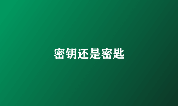 密钥还是密匙