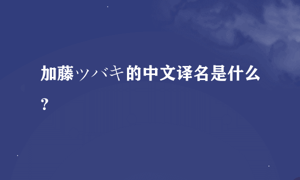 加藤ツバキ的中文译名是什么？