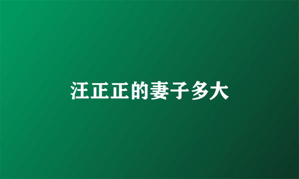 汪正正的妻子多大