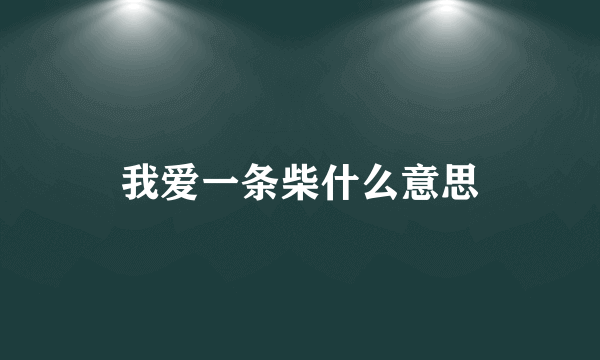 我爱一条柴什么意思