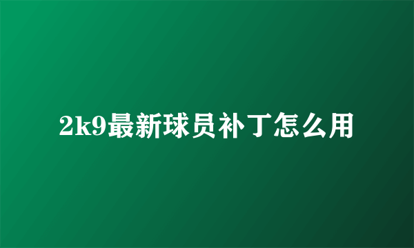 2k9最新球员补丁怎么用