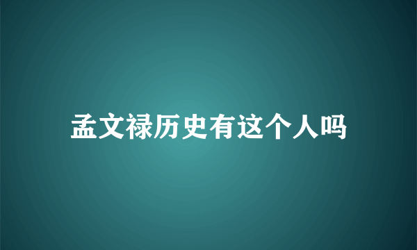 孟文禄历史有这个人吗