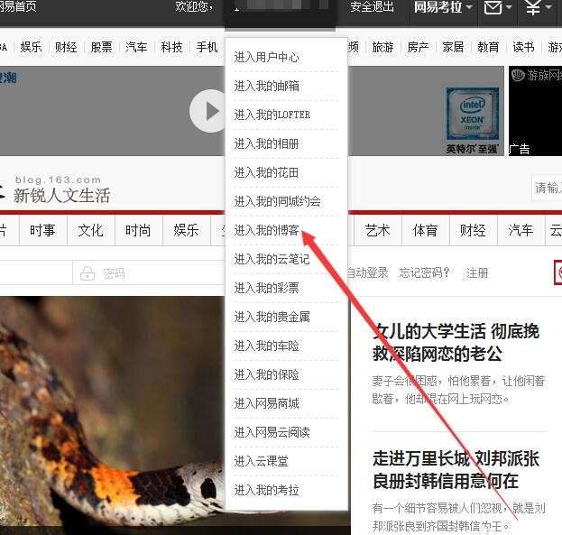 怎么登陆163的博客