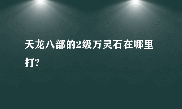 天龙八部的2级万灵石在哪里打?