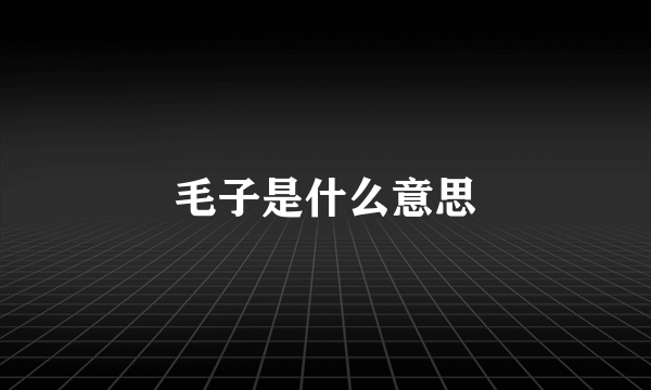 毛子是什么意思