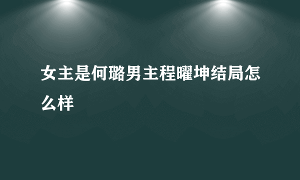 女主是何璐男主程曜坤结局怎么样