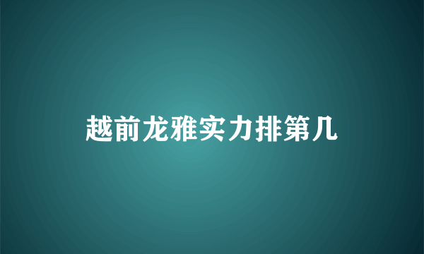 越前龙雅实力排第几