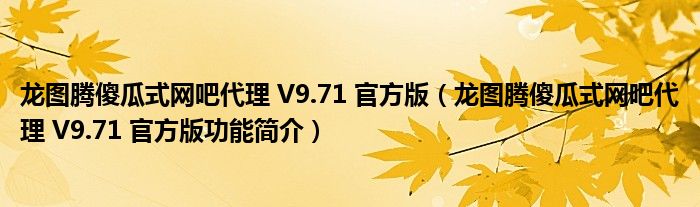 龙图腾傻瓜式网吧代理V971官方版龙图腾傻瓜式网吧代理V971官方版功能简介