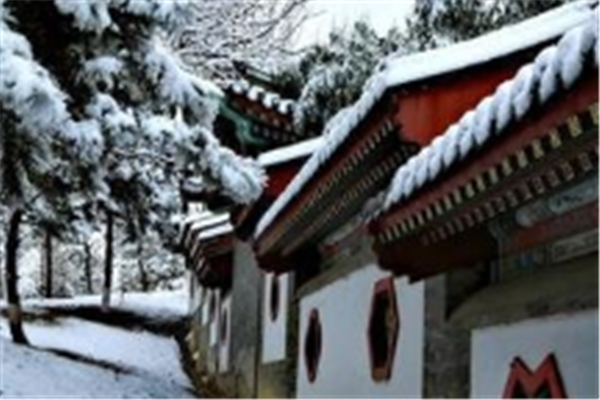 抬头看！北京冬雪飞舞飘扬，北京下雪为何也会上热搜？
