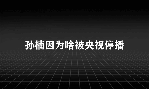 孙楠因为啥被央视停播
