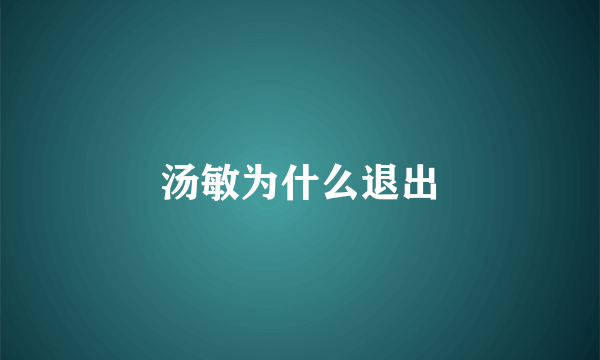 汤敏为什么退出