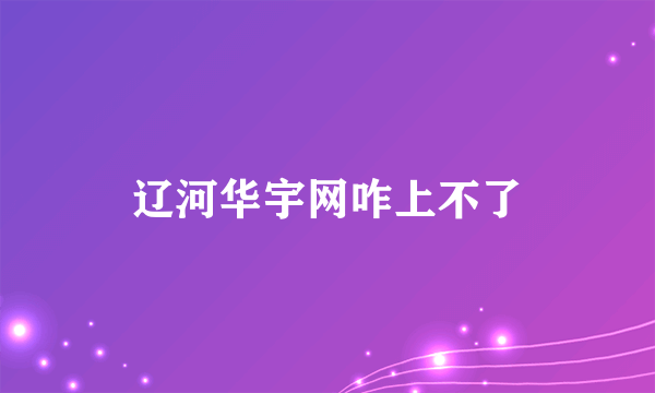 辽河华宇网咋上不了