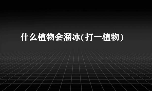 什么植物会溜冰(打一植物)