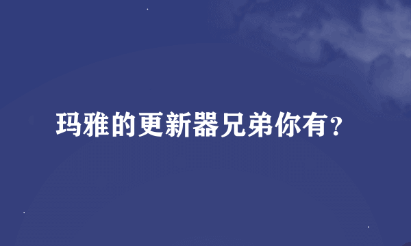 玛雅的更新器兄弟你有？