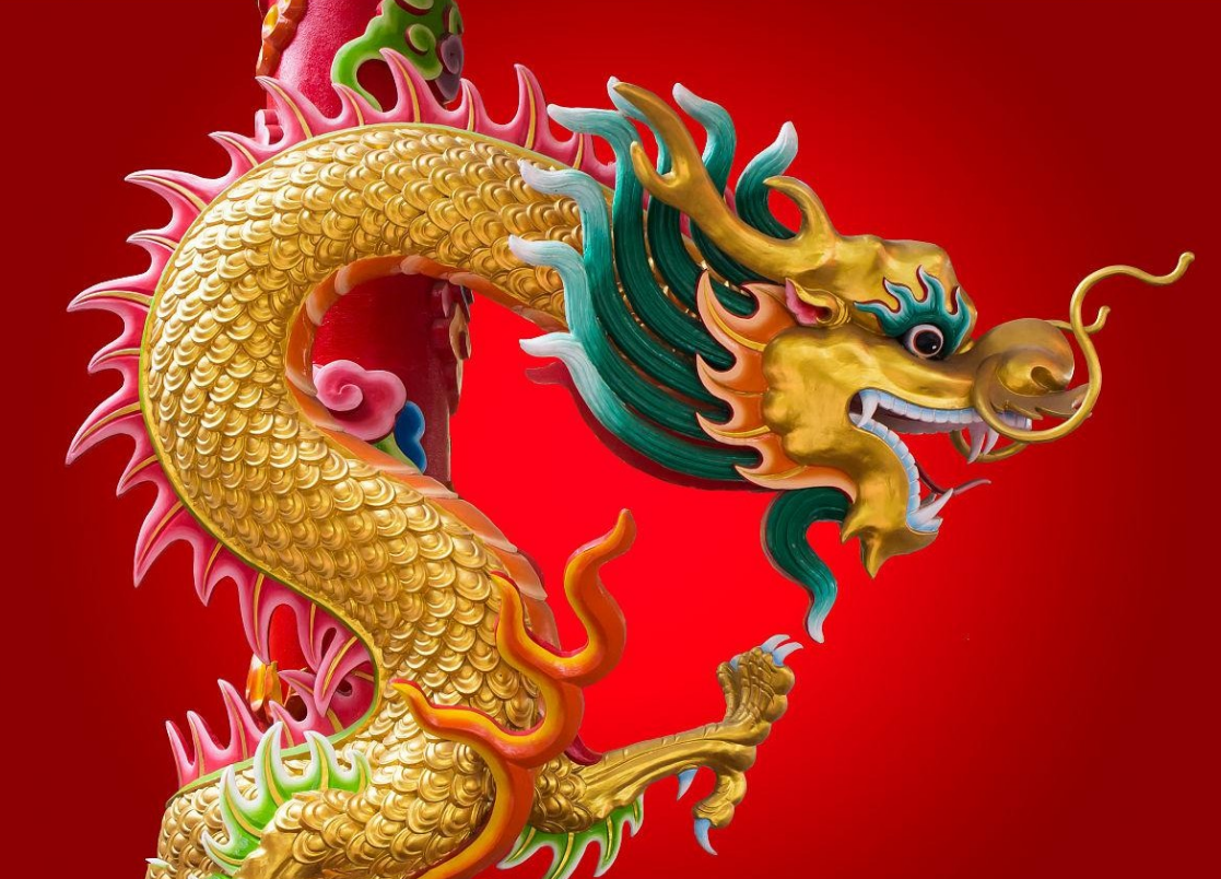 天下归一打一动物