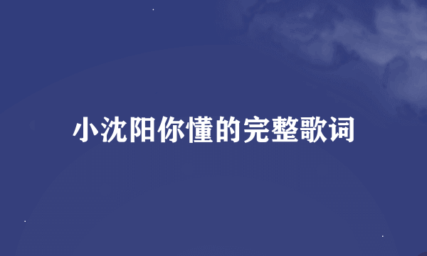 小沈阳你懂的完整歌词