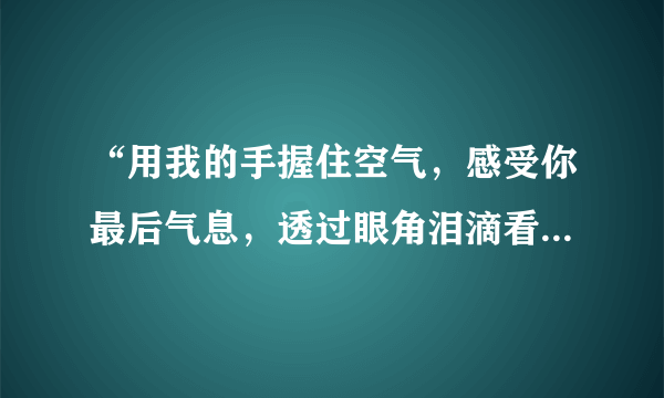 “用我的手握住空气，感受你最后气息，透过眼角泪滴看你离去”这是哪首歌？