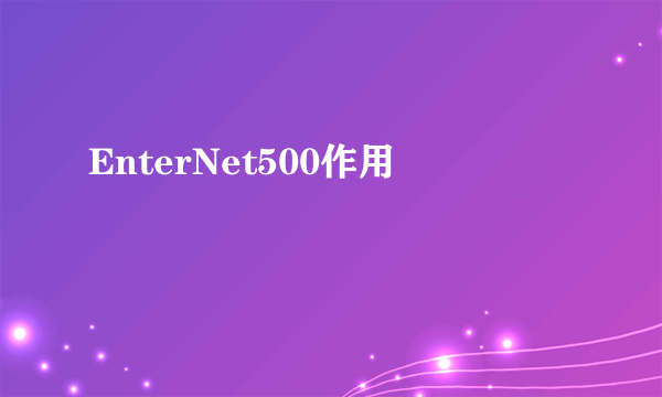 EnterNet500作用