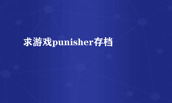 求游戏punisher存档