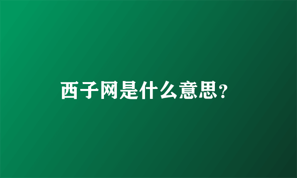西子网是什么意思？