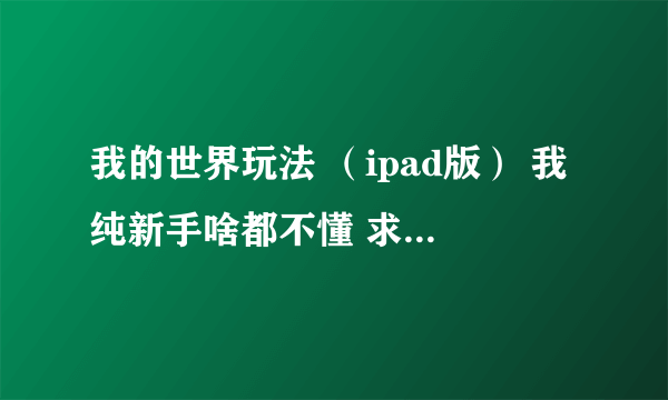 我的世界玩法 （ipad版） 我纯新手啥都不懂 求原版回答