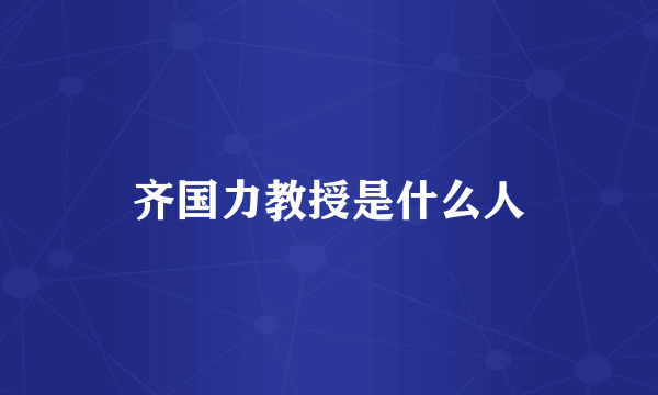 齐国力教授是什么人