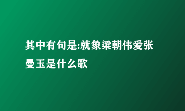 其中有句是:就象梁朝伟爱张曼玉是什么歌