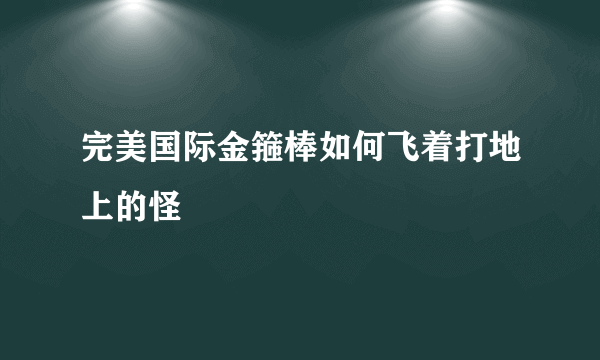 完美国际金箍棒如何飞着打地上的怪