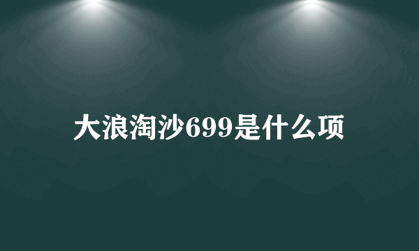 大浪淘沙699是什么项