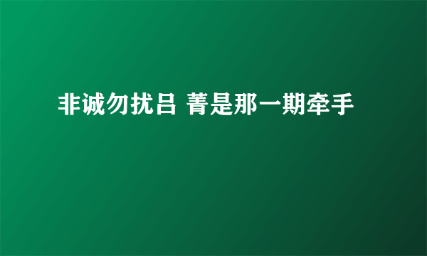 非诚勿扰吕 菁是那一期牵手